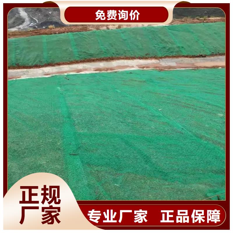 新型三维土工网垫规格性能参数一周内发货