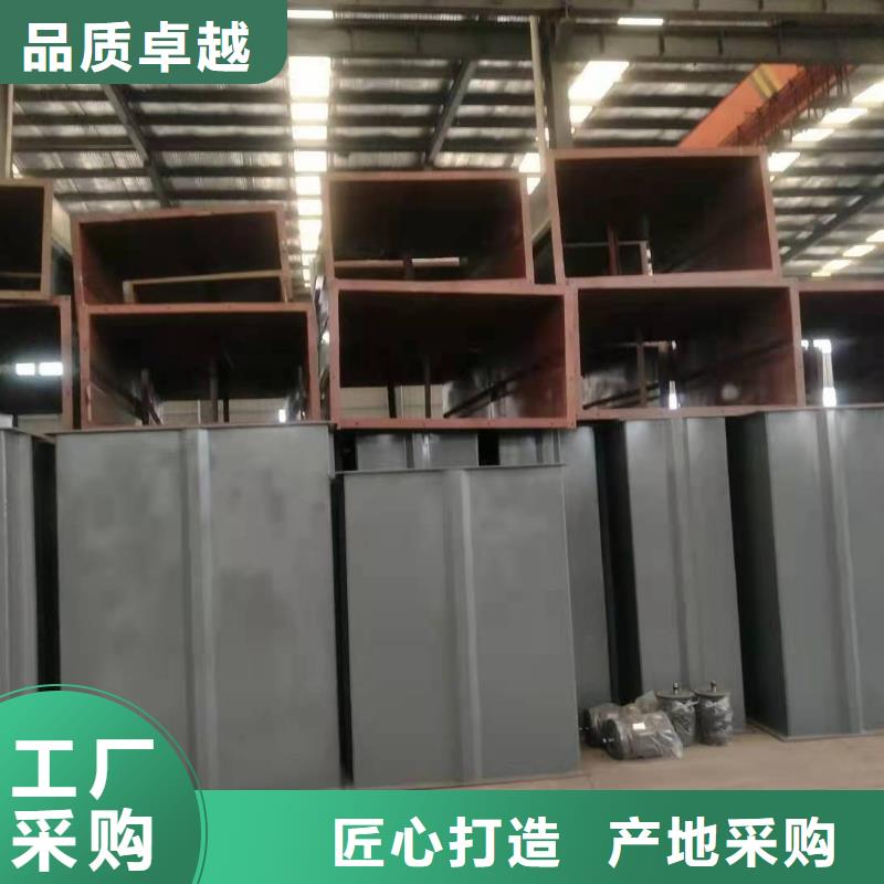 NE100链板斗式机择优大厂生产品质