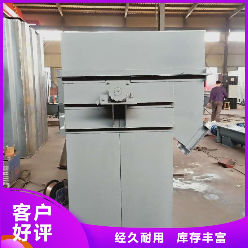NE100链板斗式机工厂直销本地货源