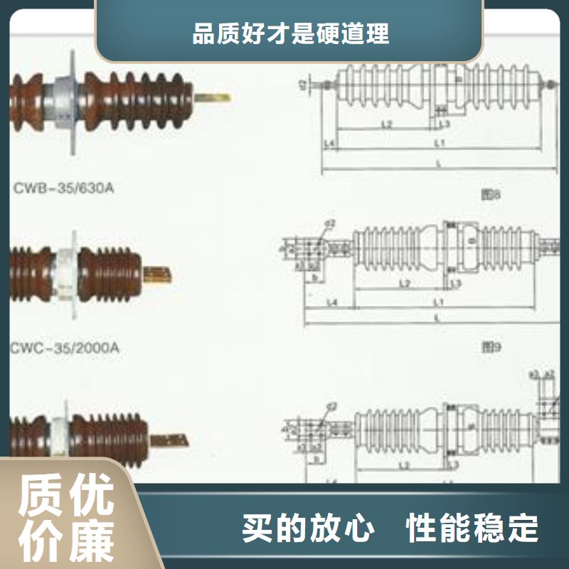 CWWB-10/2500A国标检测放心购买
