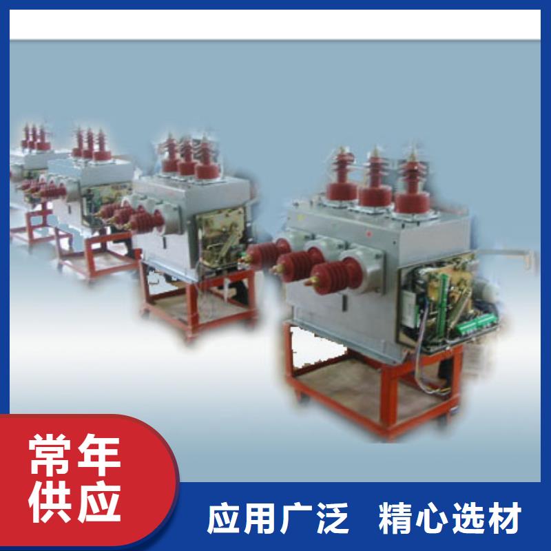 ZW43A-12/T630-12.5户外柱上断路器高标准高品质