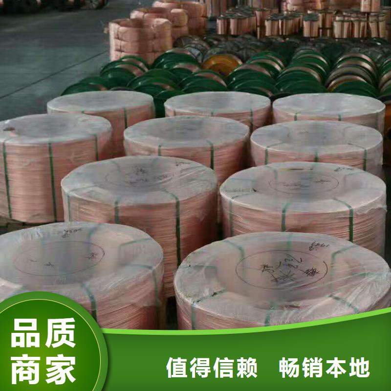 【TJ-300mm2镀锡铜绞线】生产厂家供应%铜绞线订制批发