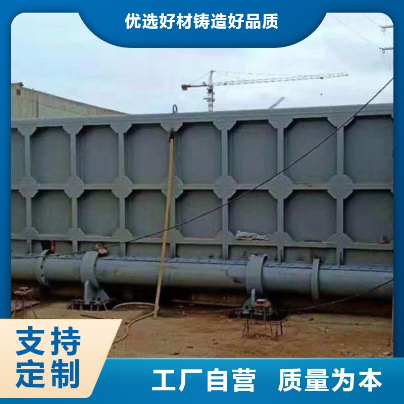 #动滑轮钢制闸门厂家专业供货品质管控
