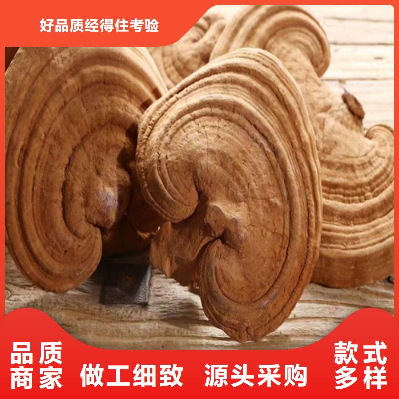 灵芝超微粉-实力商家当地生产厂家