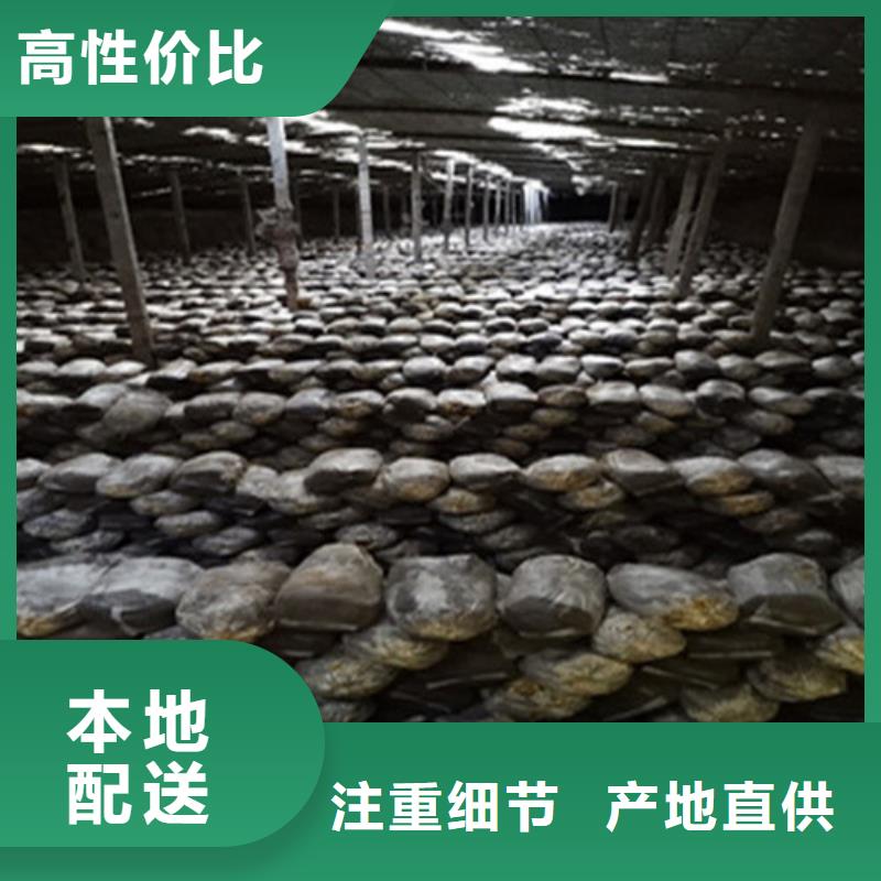 灵芝超微粉
直供当地服务商