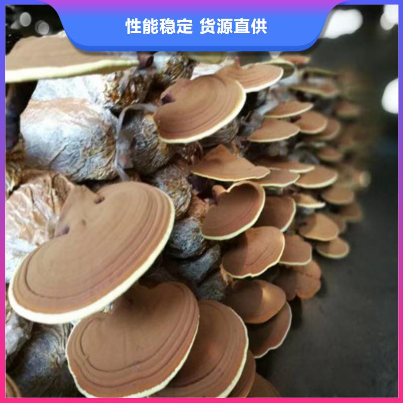 
灵芝孢子粉生产支持货到付清