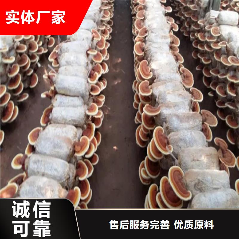 正规灵芝超微粉
厂家正规厂家