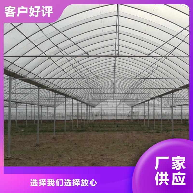 火龙果大棚管厂家批发价当地生产商