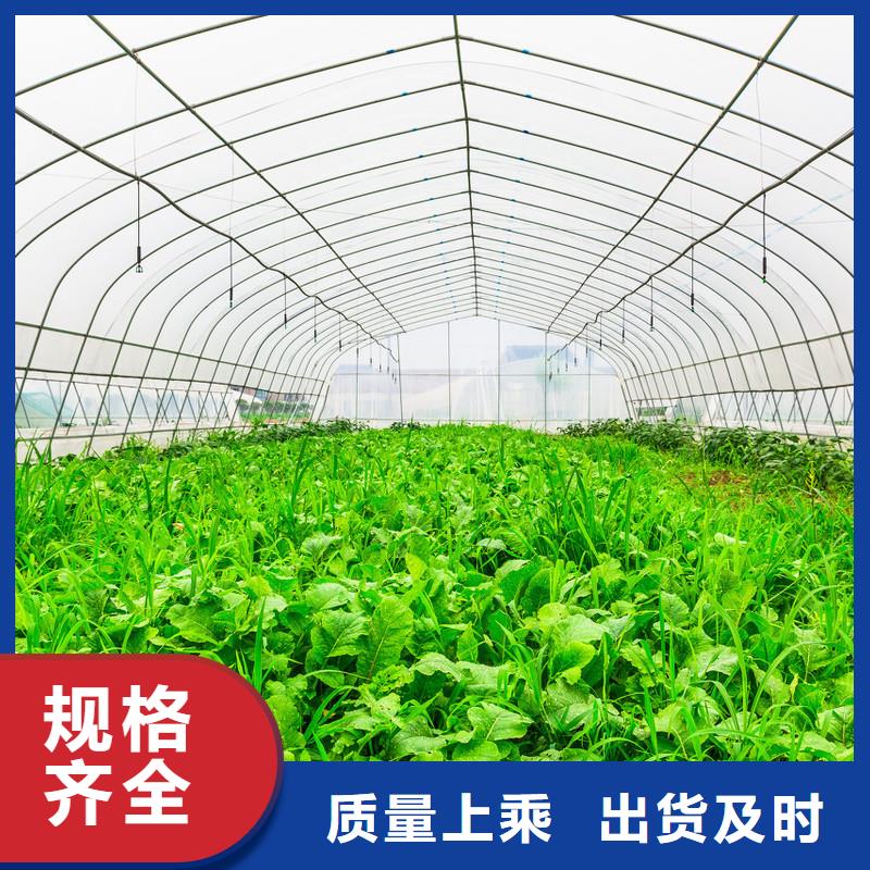 邹平县草莓大棚钢管6分25*1.5*6M优惠报价同城公司