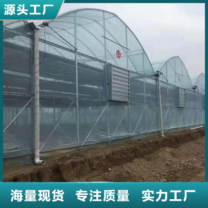 多跨度骨架钢管来厂考察优质货源