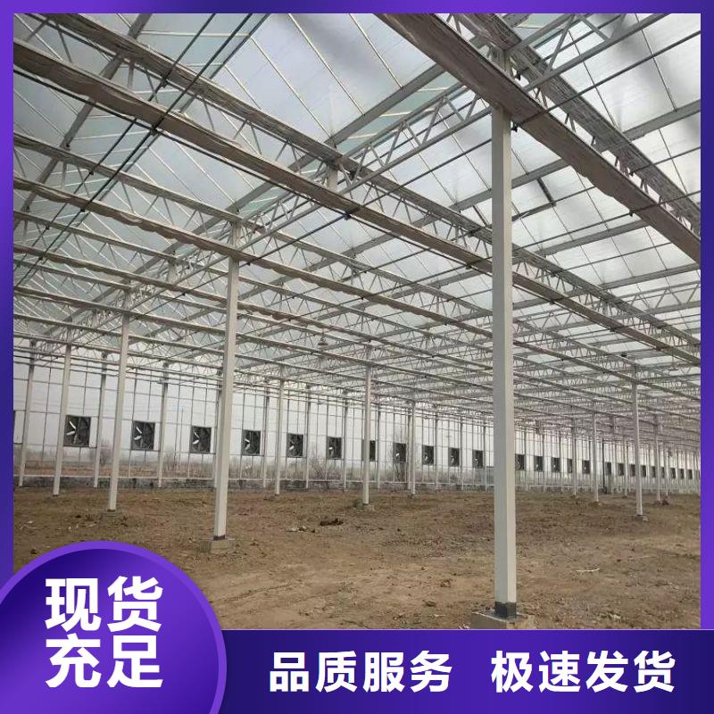 峰峰矿区种植大棚售卖合作共赢