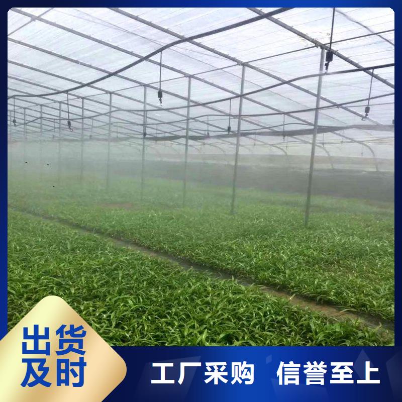 ​防虫网喜欢多种场景适用
