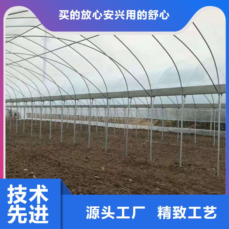 湘东区花艺带外遮阳大棚正规厂家产地货源