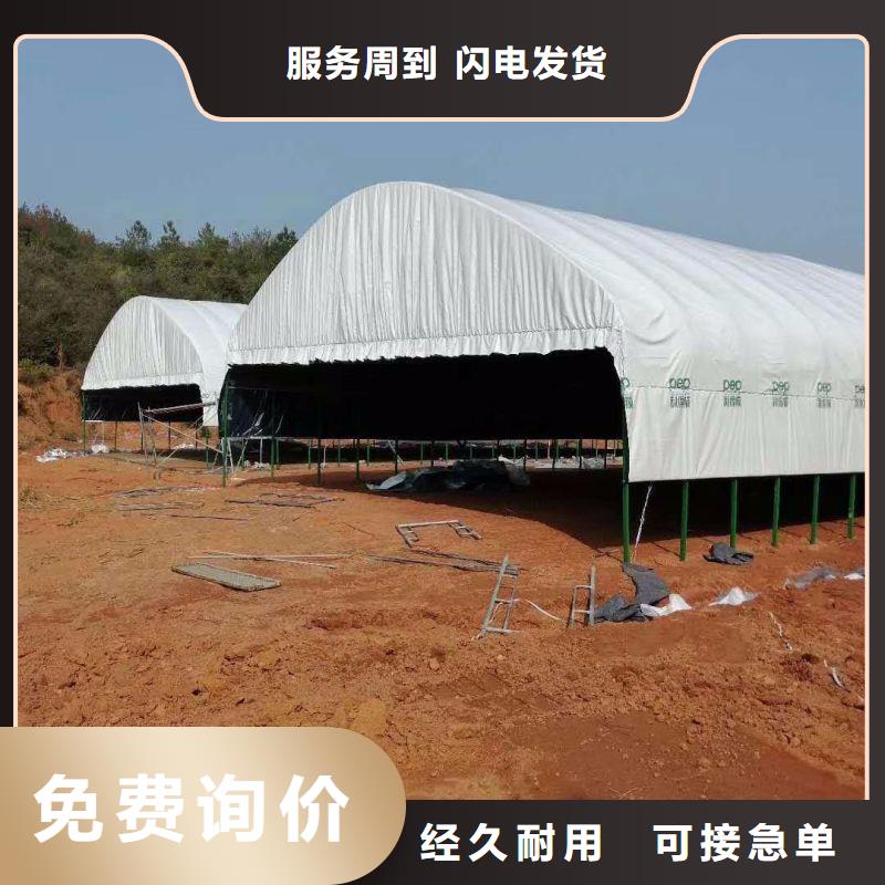 溆浦县连体大棚询问报价多种工艺