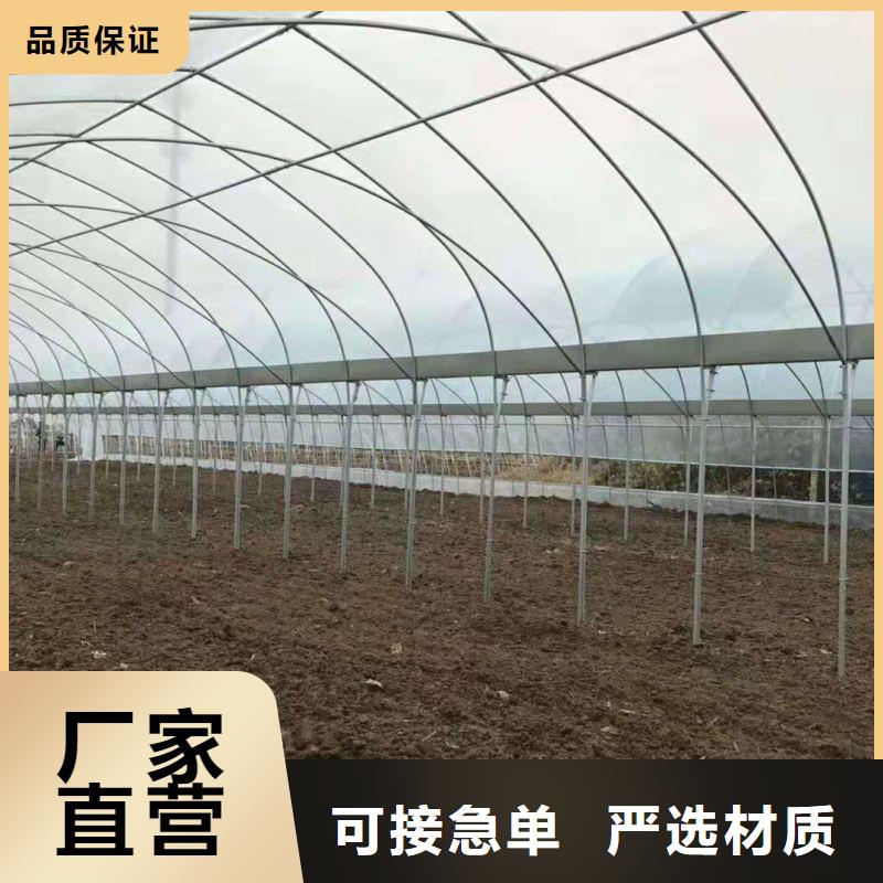 临漳县连体大棚管,咋买好品质售后无忧