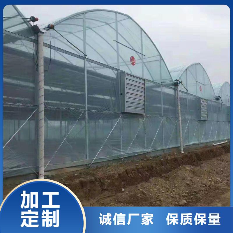 永安智能温室免费咨询当地服务商