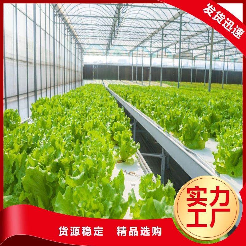 云东海街道连栋大棚钢管采购当地供应商