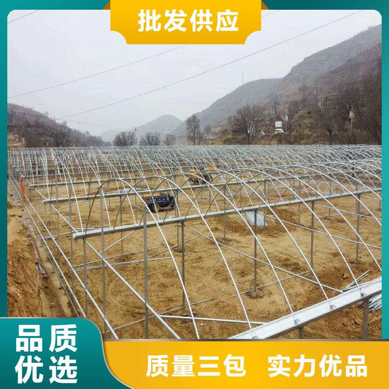 蠡县单体温室下单当地制造商