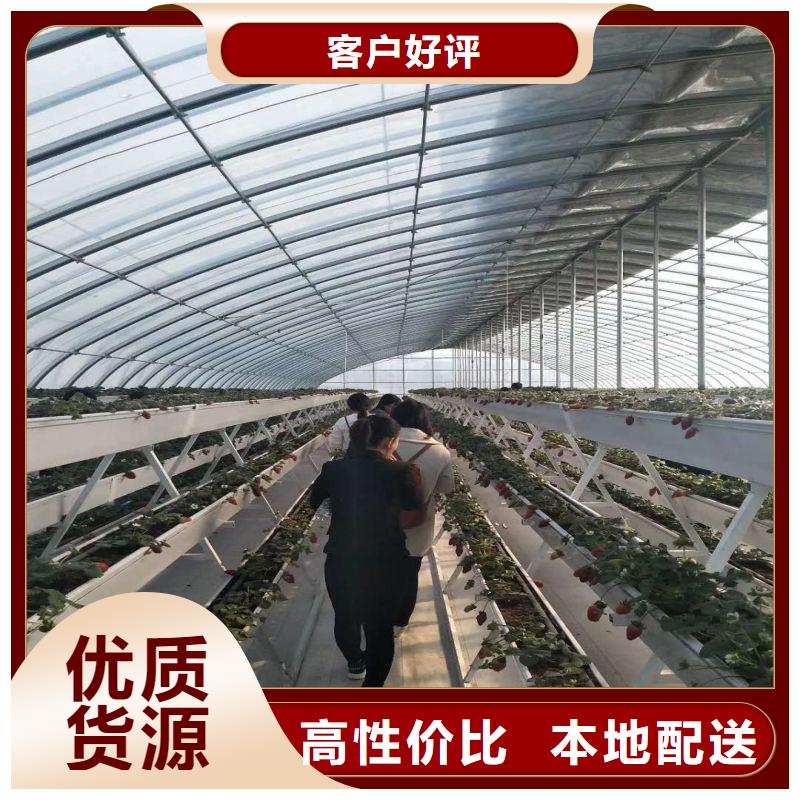 大棚配套设备喜欢品质过硬
