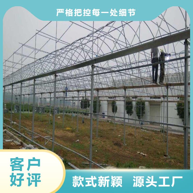 霍山塑料薄膜大棚值得信赖售后服务完善