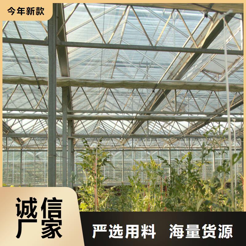 岱岳连栋温室大棚正规厂家本地品牌