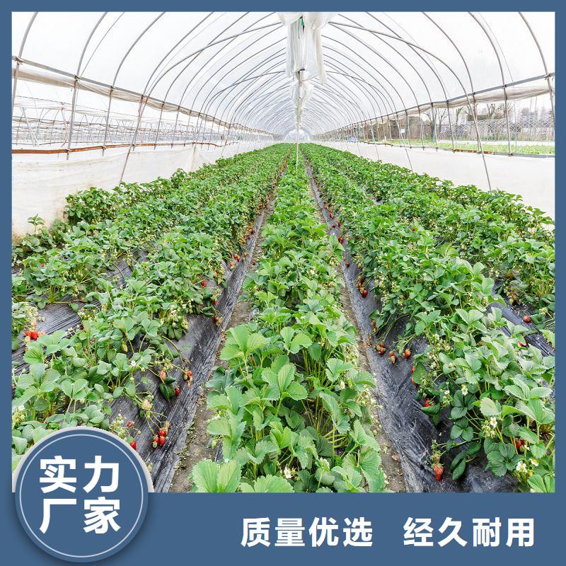 静乐县大棚薄膜采购当地生产厂家
