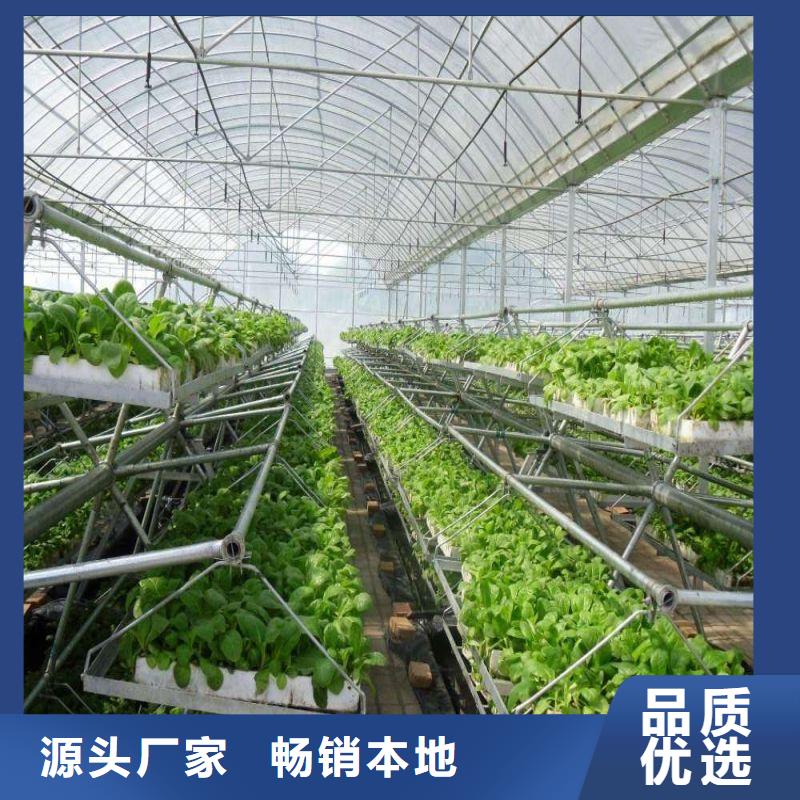 南陵县连栋棚配件批发制造厂家当地厂家