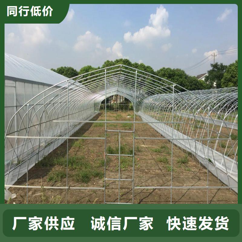 新洲区聚碳酸酯大棚厂家哪里使用方法