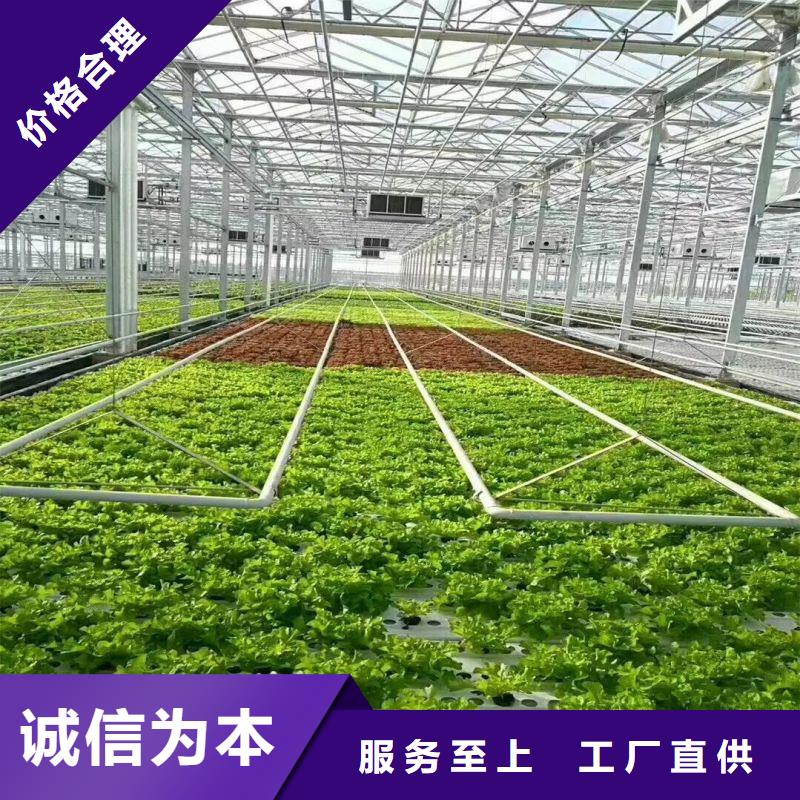 昌黎县火龙国大棚怎么买生产加工