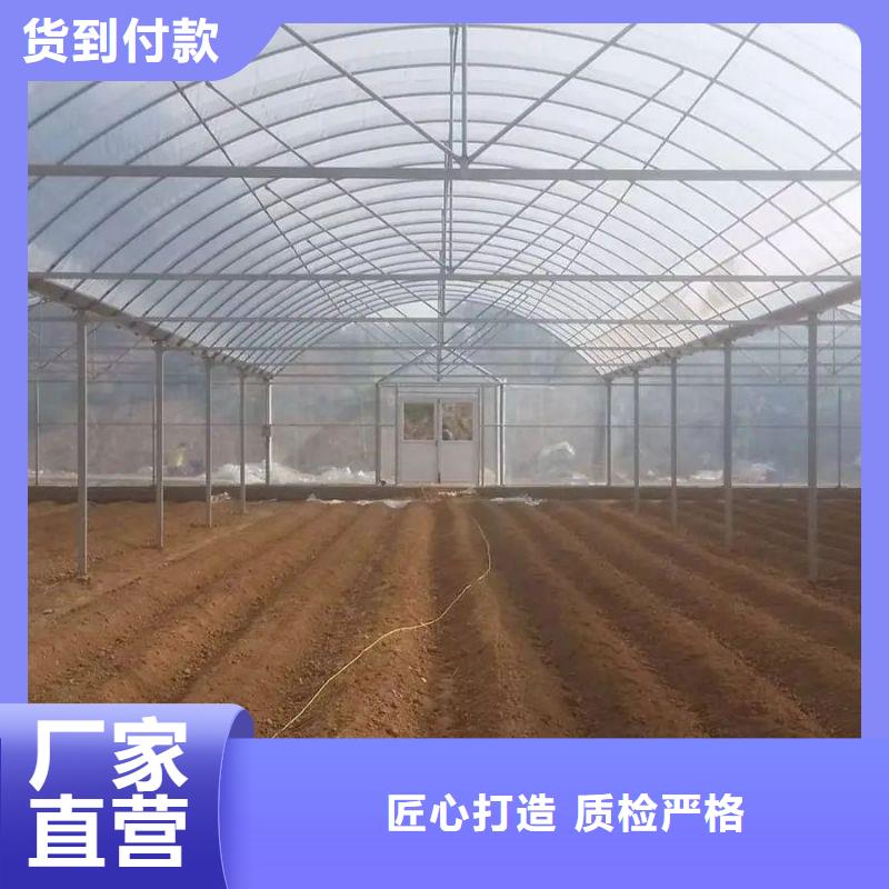 秦淮区蔬菜，花卉连栋大棚管架哪里便宜闪电发货