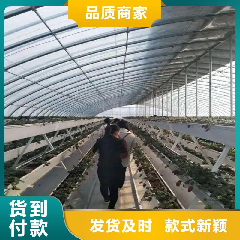 无为镀锌大棚管源头厂家常年出售
