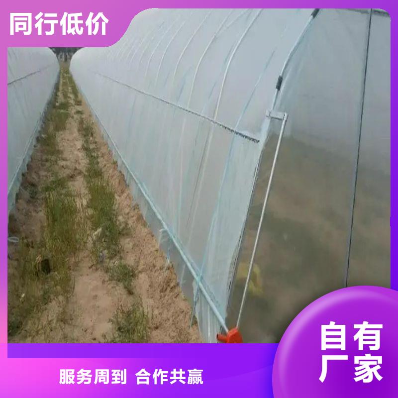 乐平市玻璃温室在线咨询同城品牌