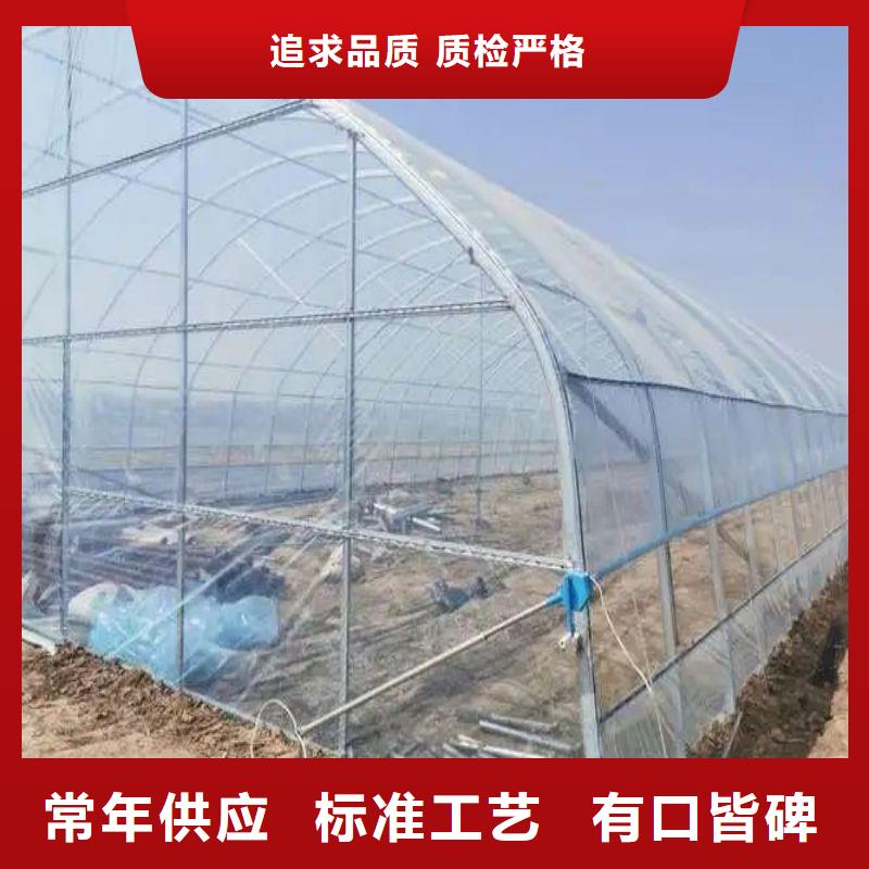 肥城种植棚放心选择物流配送