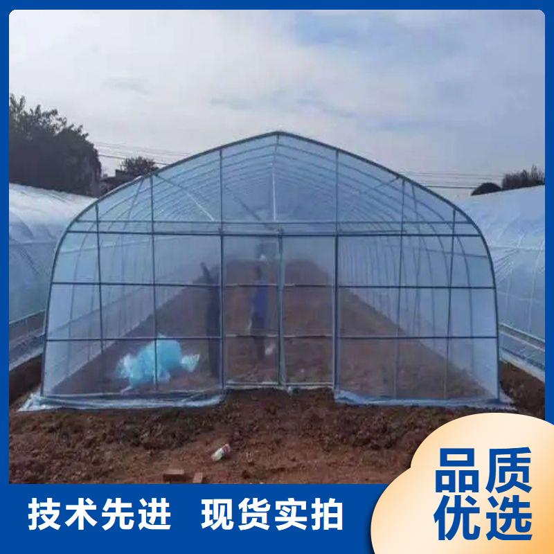 泗水联动大棚上门服务大厂生产品质