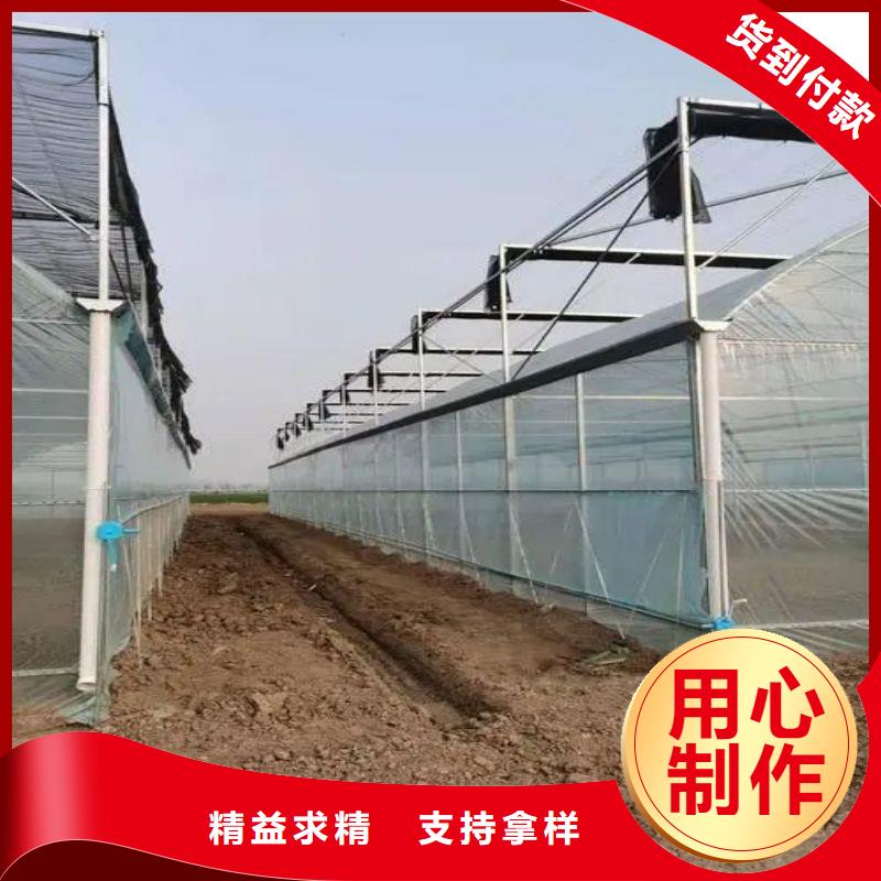 道县单体大棚购买规格型号全