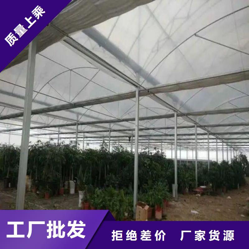 八步区农用连体大棚管,下单本地厂家