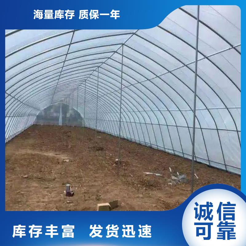 连体温室大棚钢管可定制同城供应商
