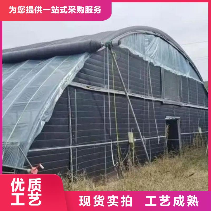 新干连栋温室大棚订制同城服务商