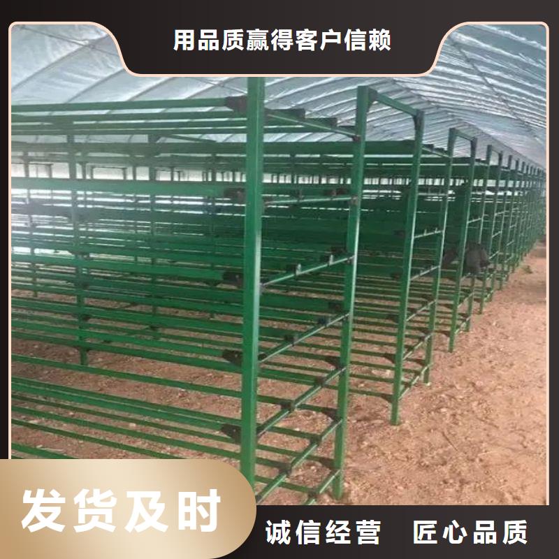 连栋温室大棚靠谱厂家源头工厂量大优惠