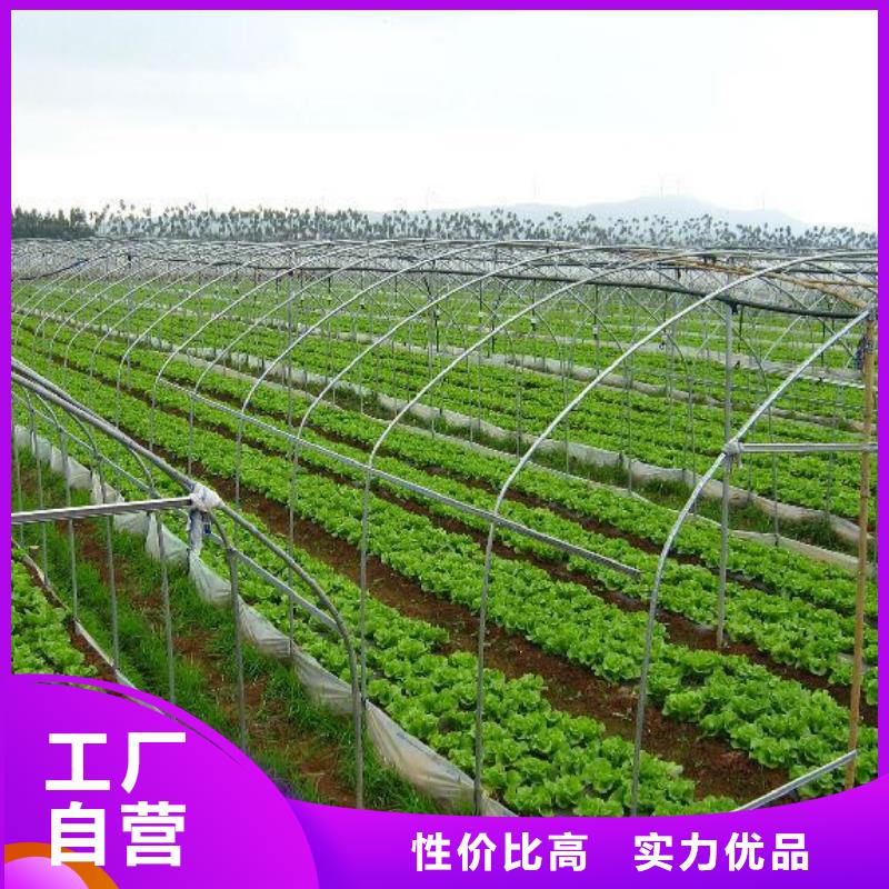 大棚管厂家定制价格同城经销商