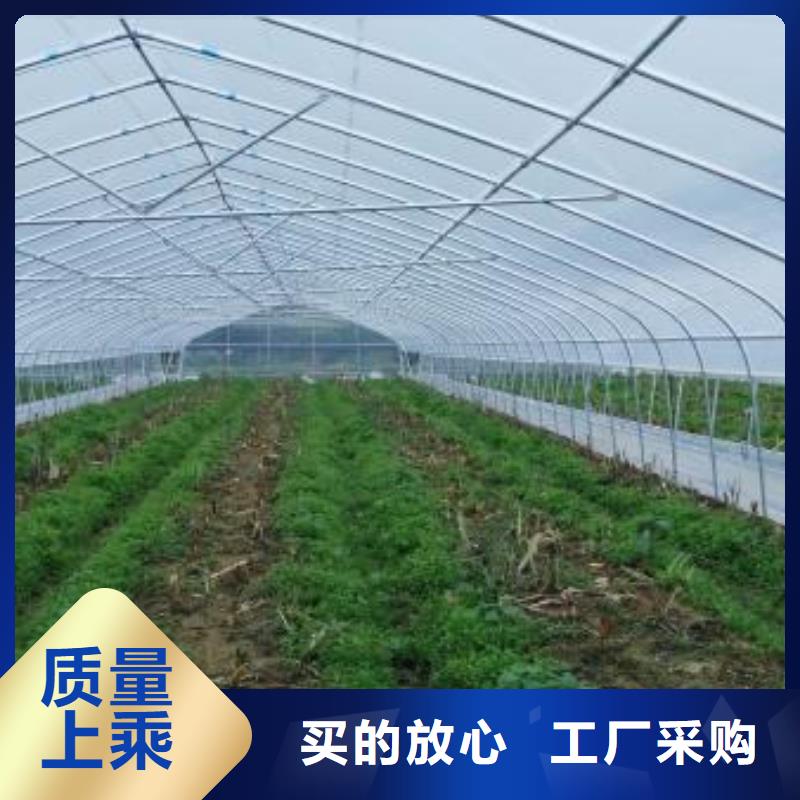 现货供应大棚搭建_精选厂家正规厂家