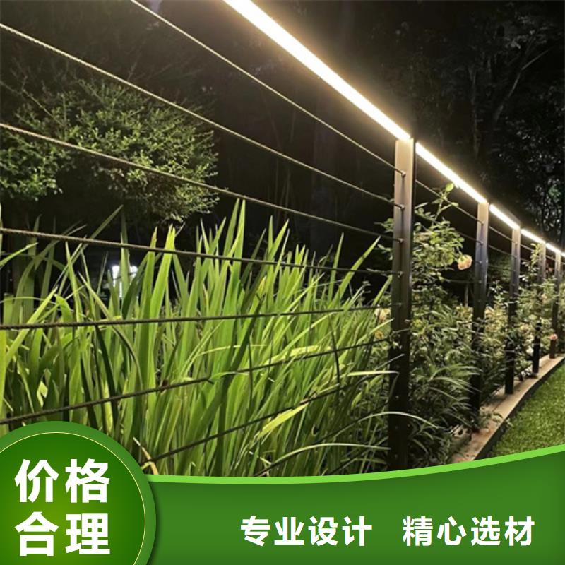 护栏网		实体厂家同城生产厂家