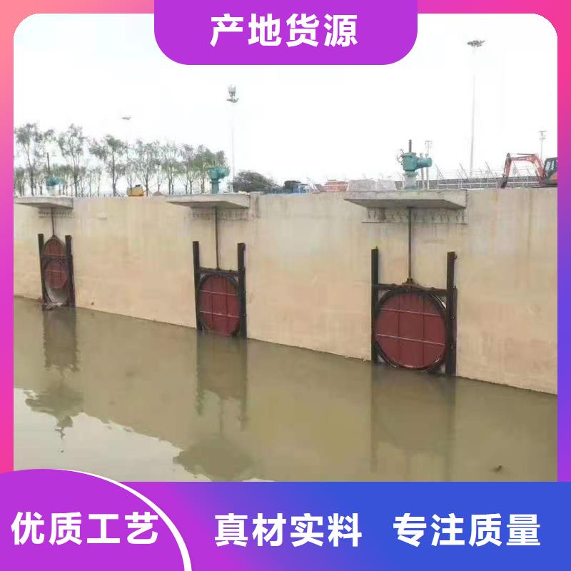 河道铸铁闸门支持定制极速发货