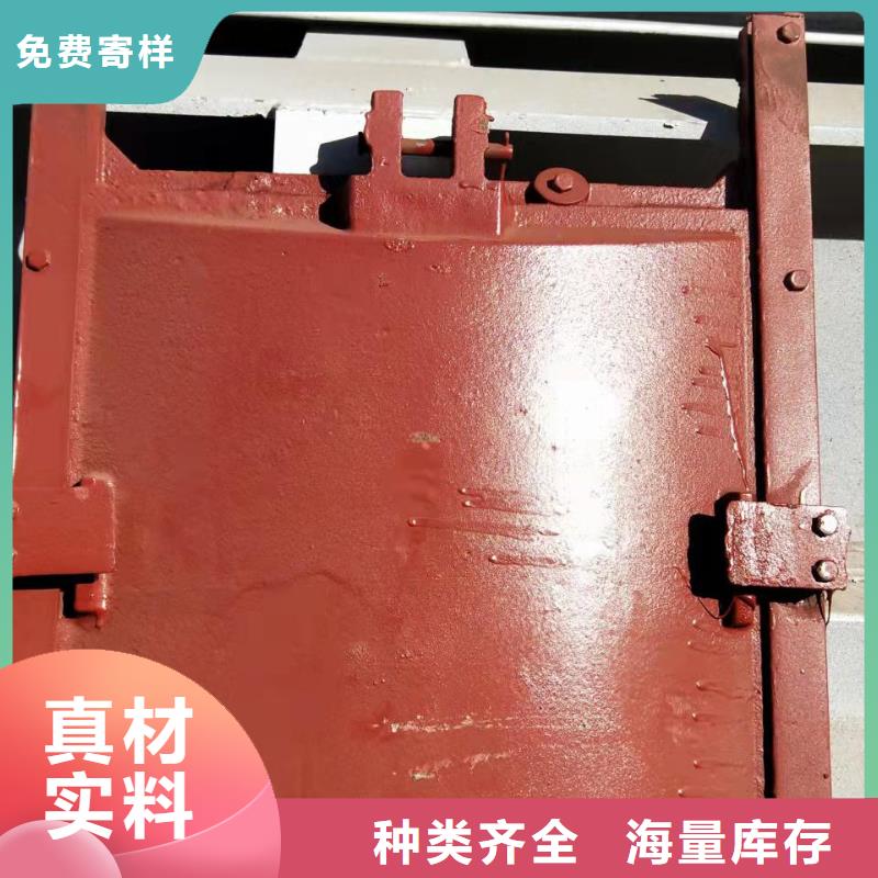 手提铸铁闸门来电咨询本地服务商
