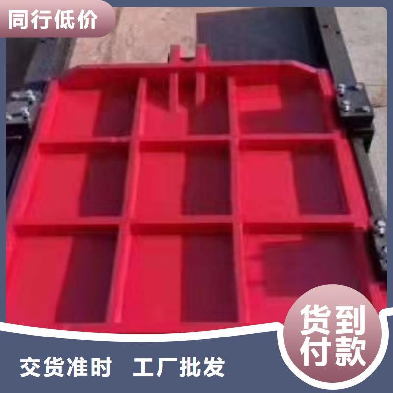 水电站铸铁闸门厂家直销工厂价格