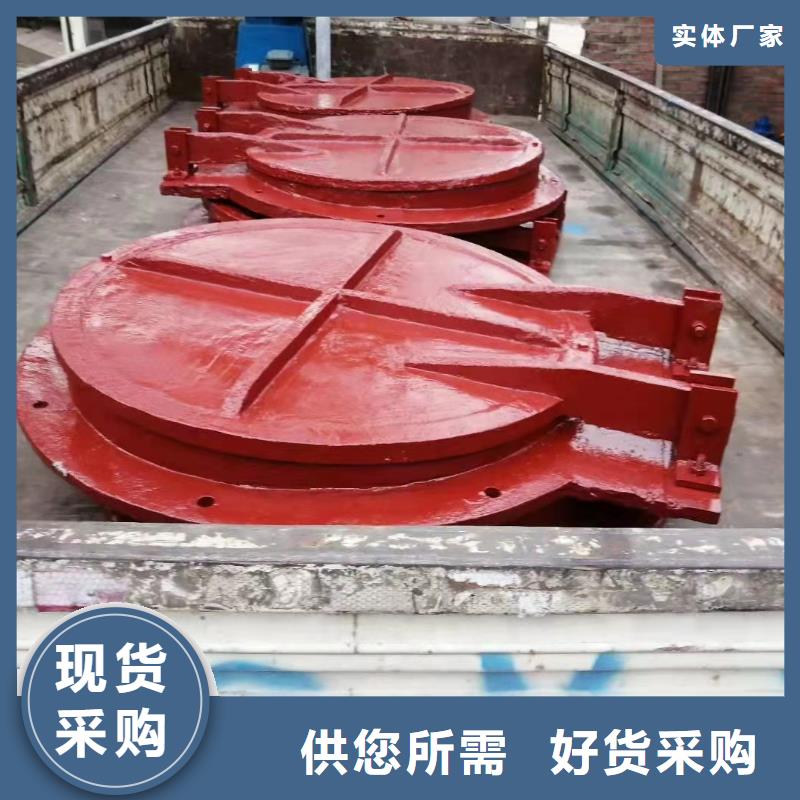 铸铁闸门支持定制合作共赢