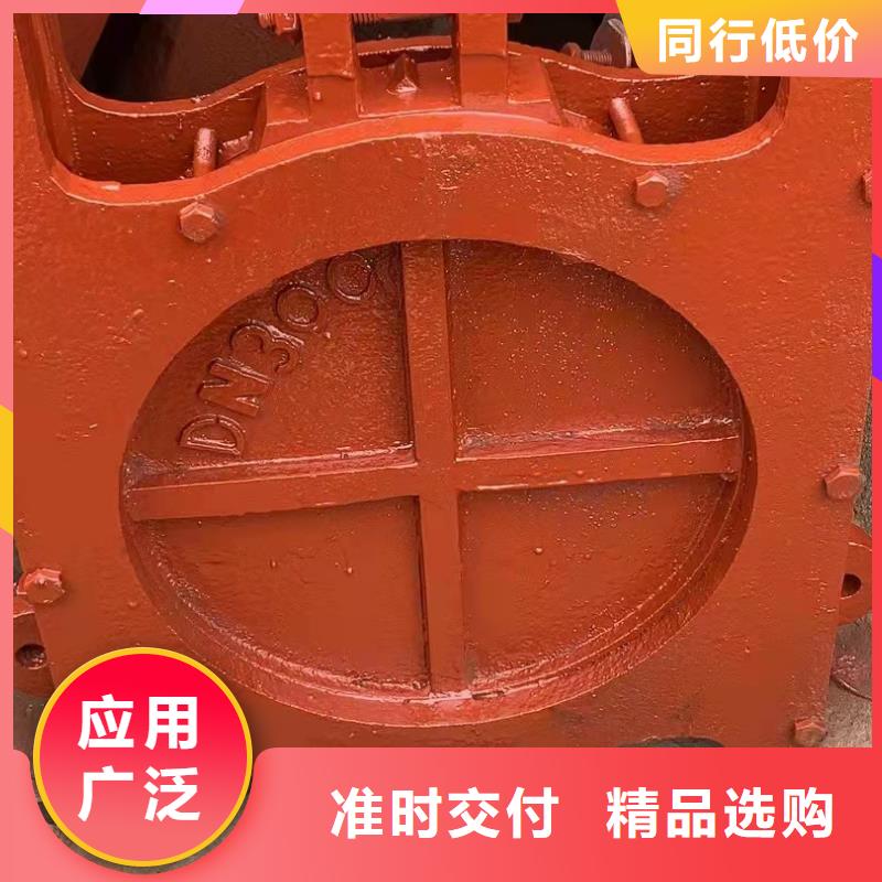 附壁式铸铁闸门生产厂家当地制造商