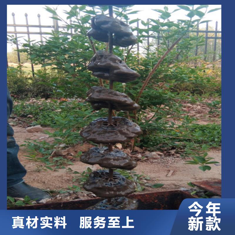 污水处理设备售后无忧在线咨询匠心工艺