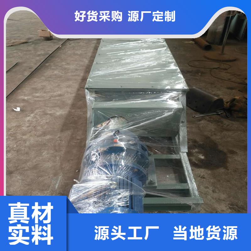 TH圆环链型斗式机实体大厂本地服务商