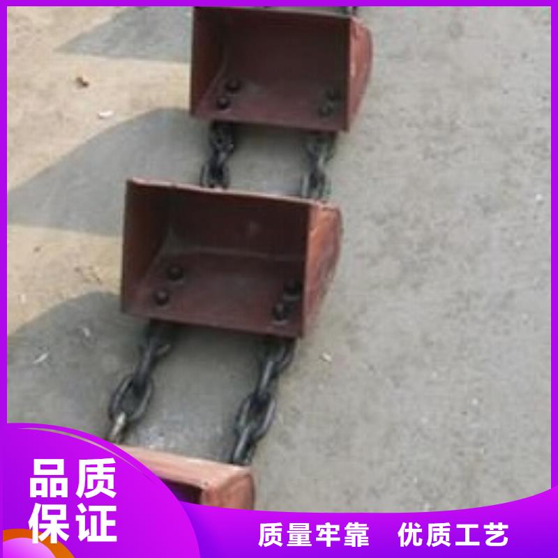 TD160斗式机厂家现货品质值得信赖